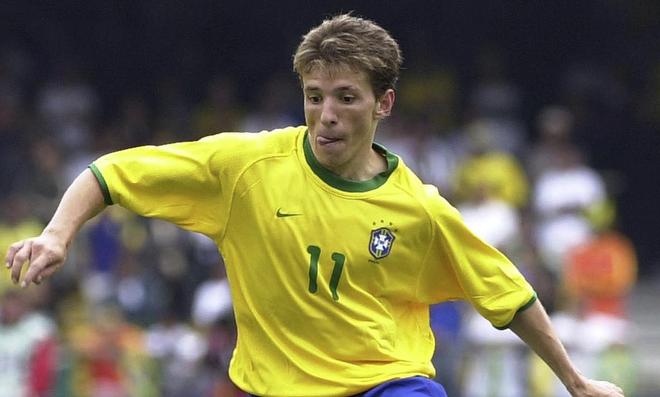 引了众多人 引了众多人