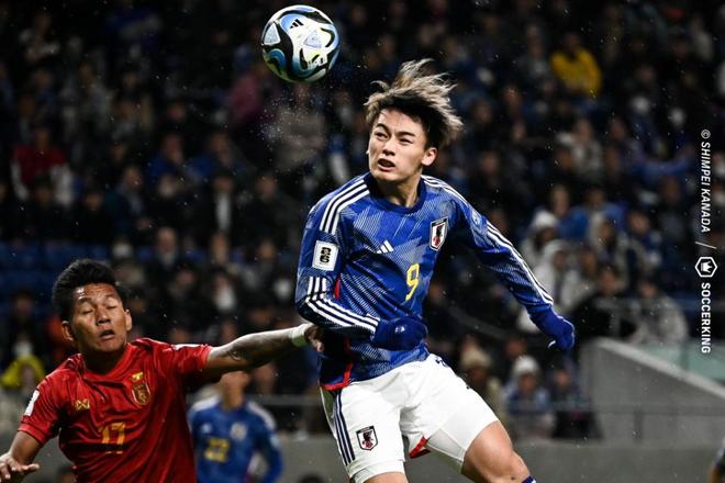 在体育的世 在体育的世